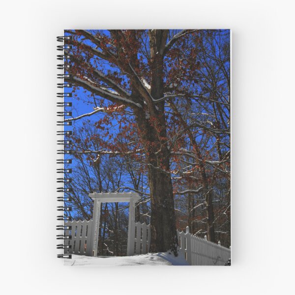 Item preview, I Shall Not Pass Again this Way designed and sold by Ann Eldridge.