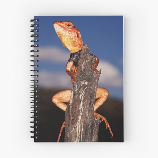 Item preview, Pilbara Ringtail Dragon designed and sold by Mark Shean.