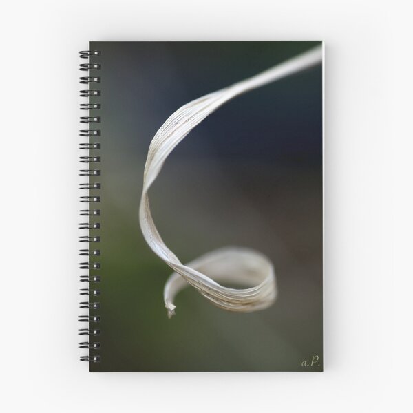 Item preview, La Spirale (I) designed and sold by tchebytchev.