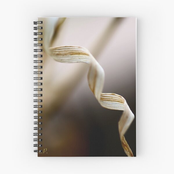 Item preview, La Spirale (II) designed and sold by tchebytchev.