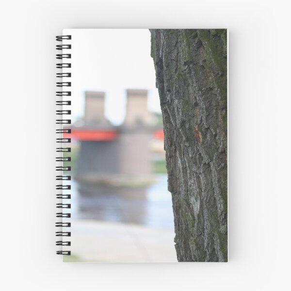 Item preview, Bridge designed and sold by Antanas.