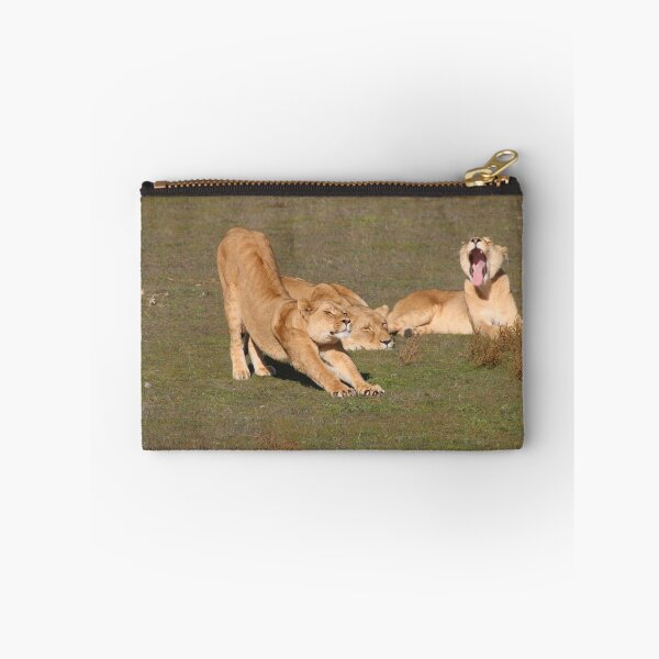 Item preview, Sleepy Lionesses designed and sold by Stuart Daddow Photography.