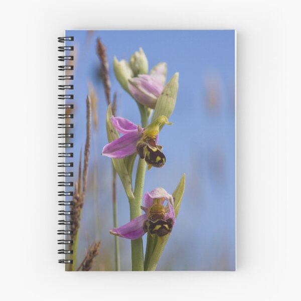 Item preview, Bee Orchid designed and sold by Jon Lees.