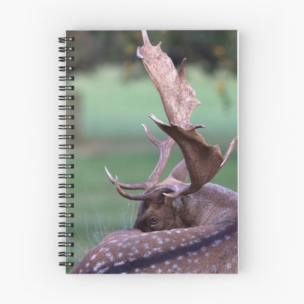 Item preview, Fallow Stag designed and sold by Neil Bygrave (NATURELENS).