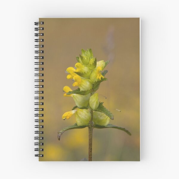 Item preview, Yellow rattle designed and sold by Jon Lees.