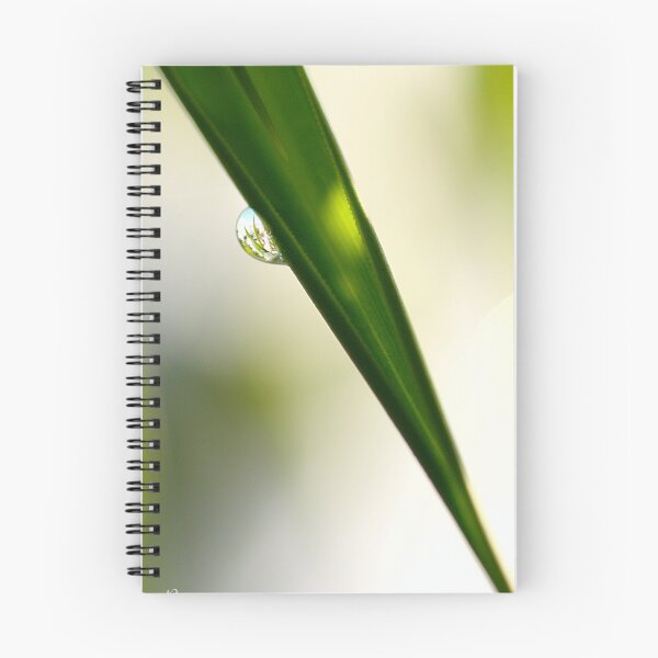 Item preview, Yucca nd Drip designed and sold by tchebytchev.