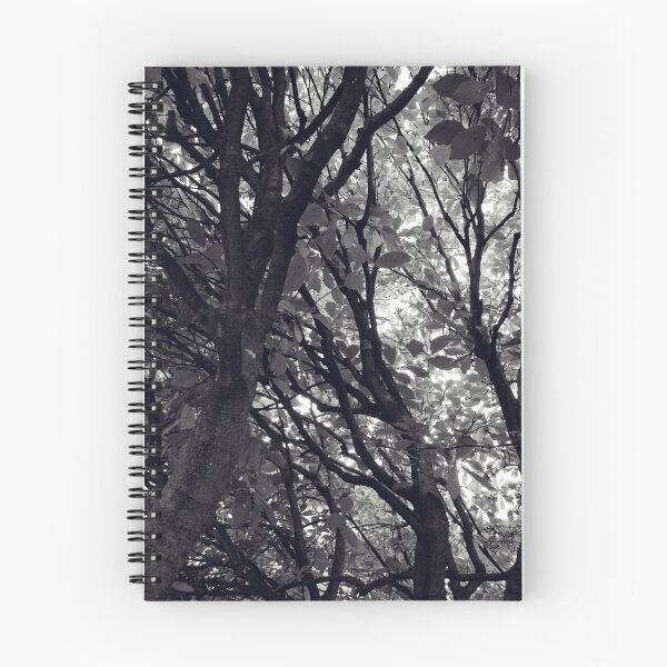 Item preview, Bower designed and sold by Ashlee Lauren.