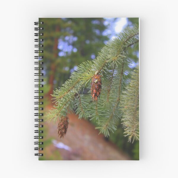 Item preview, 2 little pinecones sittin' in a tree designed and sold by Debbie Roelle.