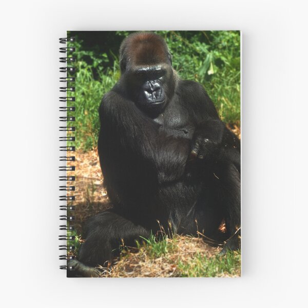 Aperçu de l'œuvre singe déambuler créée et vendue par KStudios.