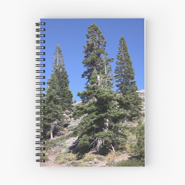 Item preview, Magnificant fir trees designed and sold by Sue Leonard.