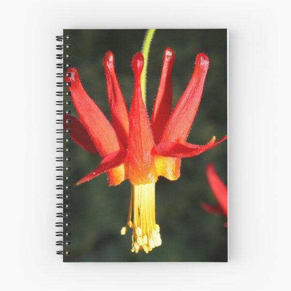 Item preview, Red beauty designed and sold by christopher363.