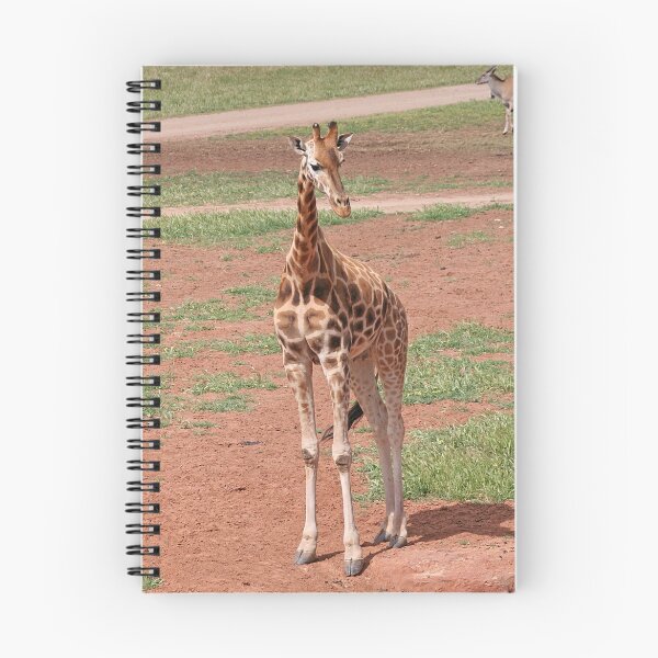 Item preview, Giraffe At Monato Zoo designed and sold by Jenny Brice.