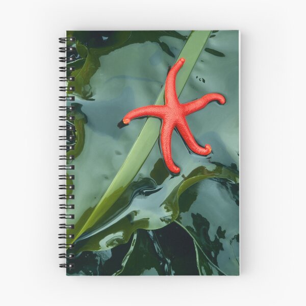Item preview, Little Red Starfish designed and sold by Inge Johnsson.