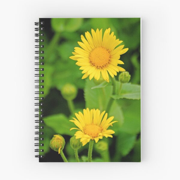 Item preview, Leopards Bane designed and sold by Rodney55.