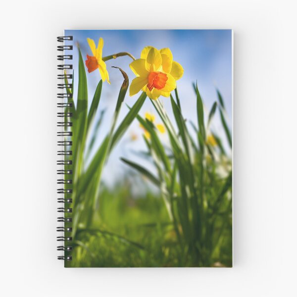 Item preview, Daffodils designed and sold by Aaron Radford.