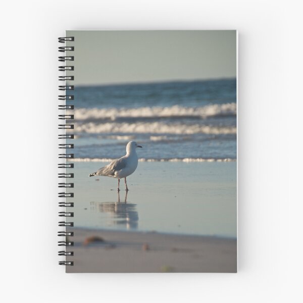 Item preview, Lonely Gull designed and sold by Grant Scollay.