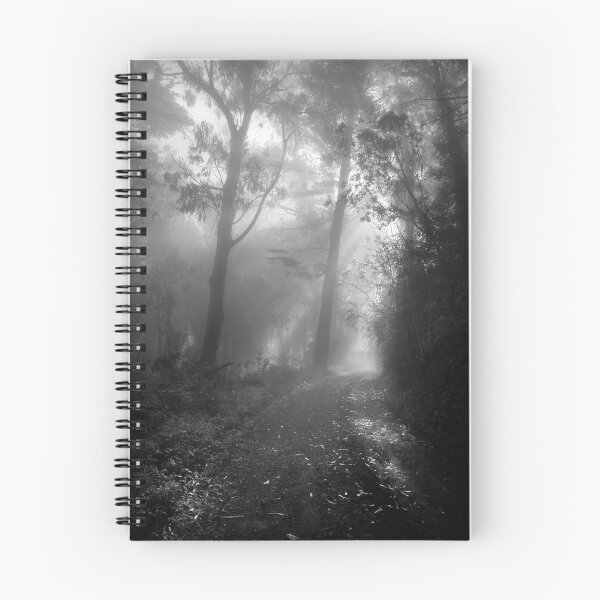 Item preview, Misty Morning Hike, Mount Davidson designed and sold by Richard Mason.