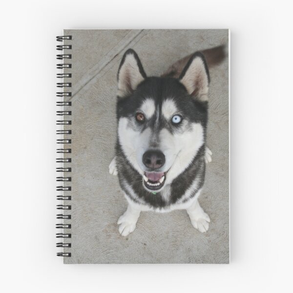 Artikelvorschau,  glücklicher Hund (Siberian Husky) Ich habe mich 8 Monate lang um Freunde gekümmert. Ich war traurig, ihn gehen zu sehen entworfen und verkauft von mgeritz.