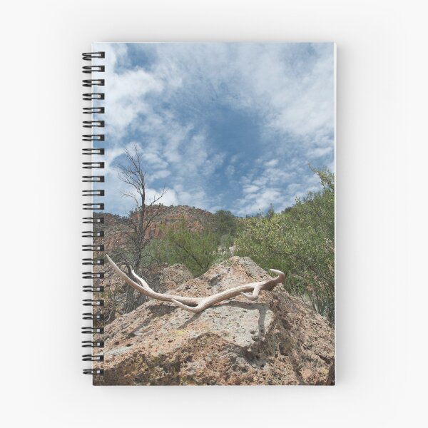 Item preview, Antler, rock and sky: Bland Canyon designed and sold by Gary Cascio.