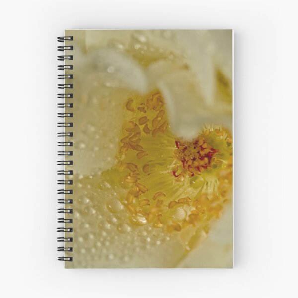 Item preview, Journey to the center designed and sold by Tracey  Dryka.