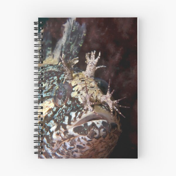 Item preview, Ticklish. designed and sold by James Peake Nature Photography..