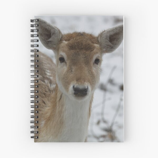 Item preview, Anything new here  designed and sold by DutchLumix.