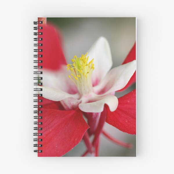 Item preview, Columbine Flower designed and sold by snehit.
