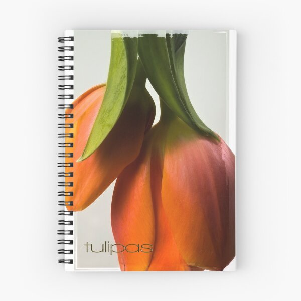 Artikelvorschau, Tulipas entworfen und verkauft von Dania Reichmuth.