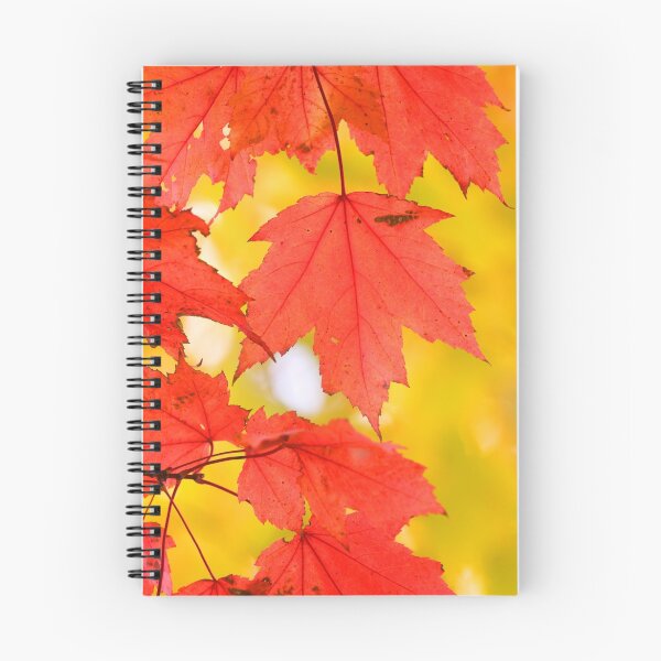 Item preview, Maple leaves designed and sold by snehit.