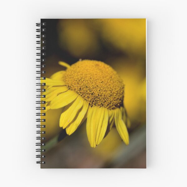 Item preview, Forgotten Beauty..... designed and sold by Joy Watson - Natural Light Photography .