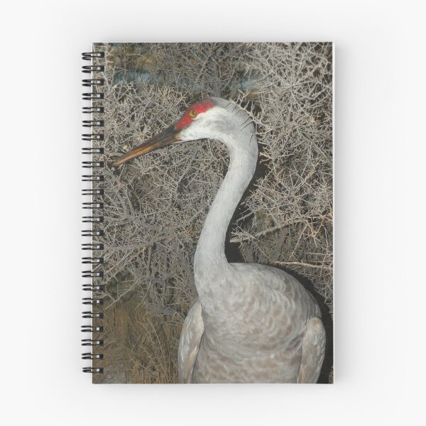 Item preview, Sandhill Crane designed and sold by starbucksgirl26.