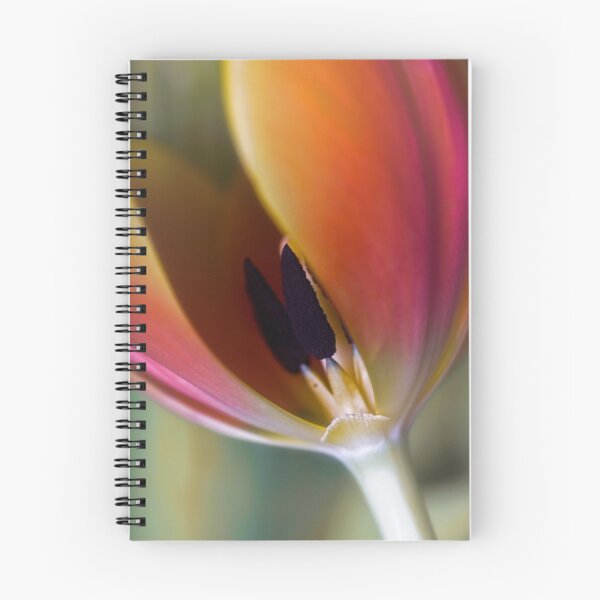 Item preview, Details designed and sold by Dania Reichmuth.