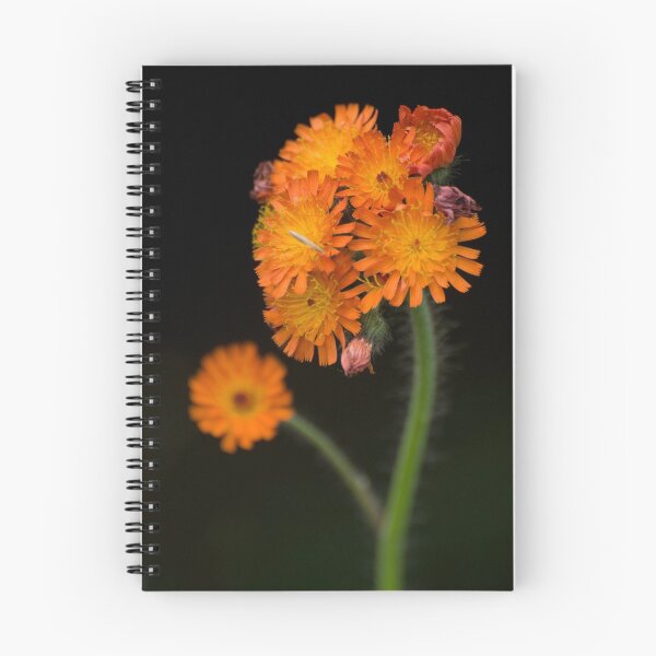 Item preview, Orange Bouquet designed and sold by Daniel  Parent.