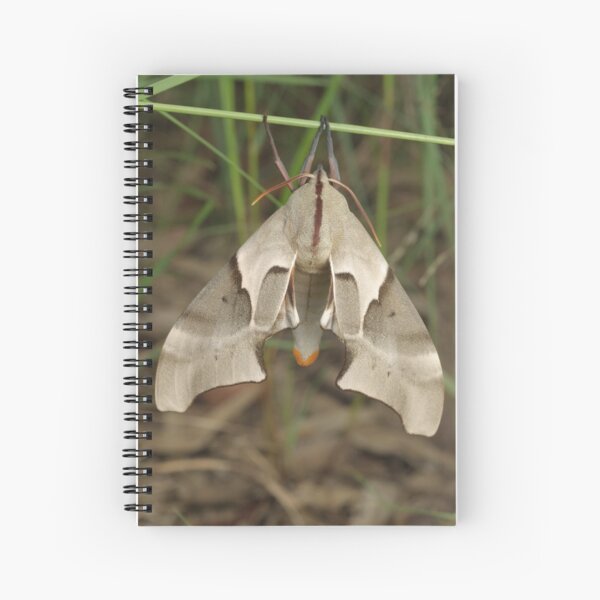 Moth Spiral Notebook
