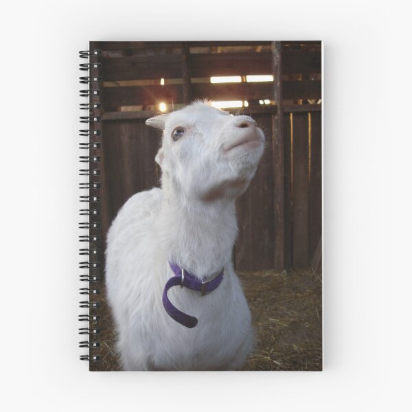 Item preview, I was Created a goat and I love my Life! designed and sold by RealPainter.