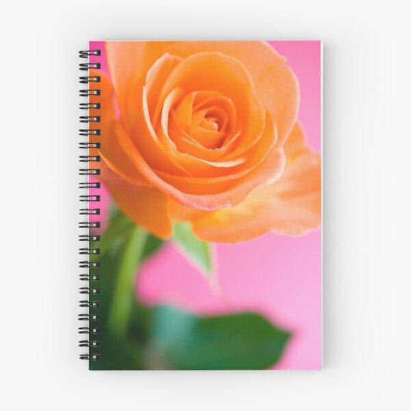 Aperçu de l'œuvre Rose créée et vendue par Minna  Waring.