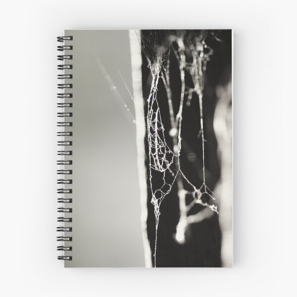 Item preview, Spiderwebs by Day designed and sold by AdamJonesNZ.