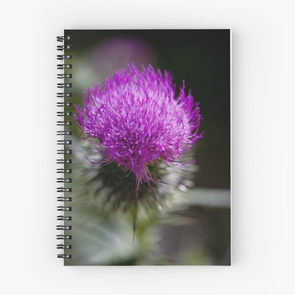 Item preview, Thistle designed and sold by Carol Ritchie.
