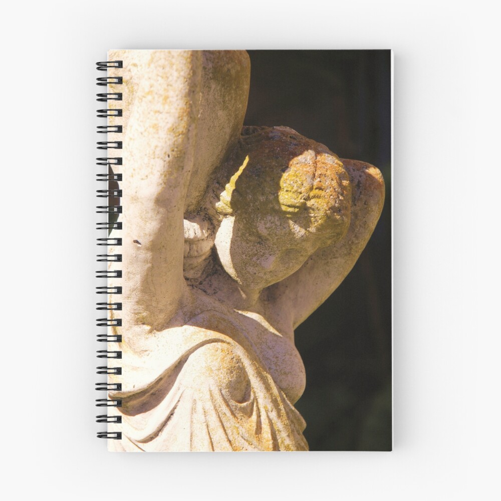 Item preview, Spiral Notebook designed and sold by RtImages.