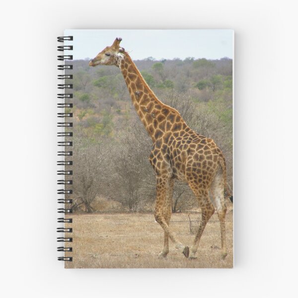 Item preview, 3 Birds and 1 Giraffe designed and sold by IngridSonja.