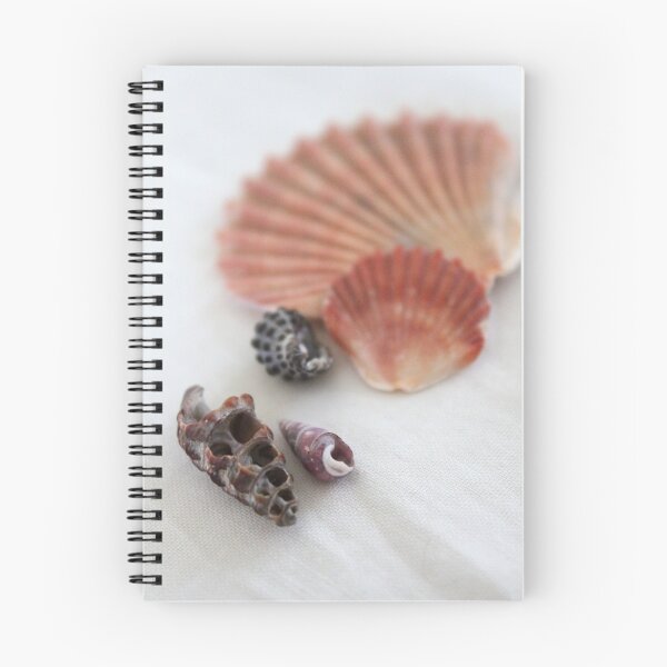 Item preview, Conchas marinas designed and sold by Leesa Habener.