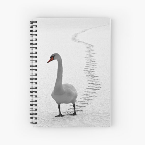 Tracks Spiral Notebook