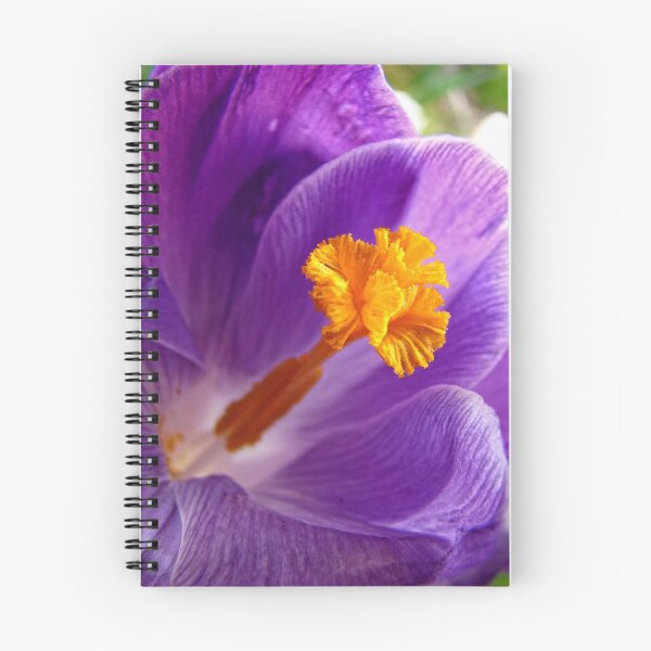 Item preview, Splendor designed and sold by Heather Haderly.