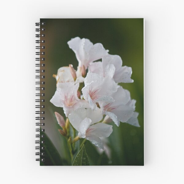 Item preview, White Oleanders designed and sold by MitchellT.