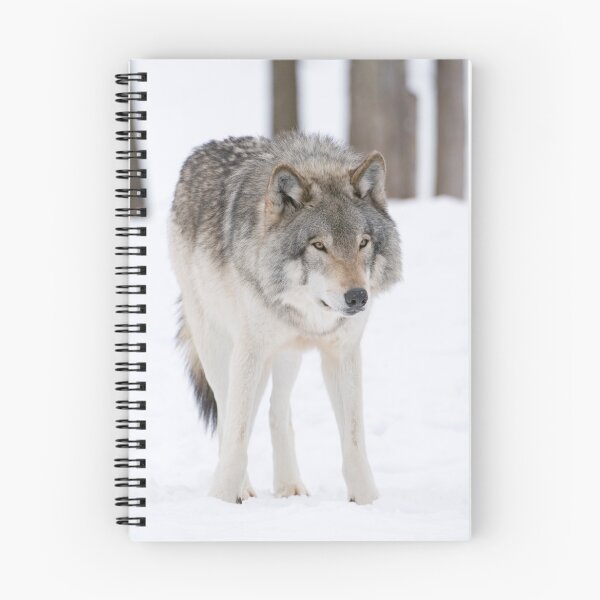 Item preview, Lone Timberwolf designed and sold by Daniel  Parent.