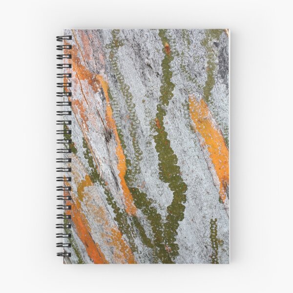 Item preview, Trails designed and sold by Paul Earl.