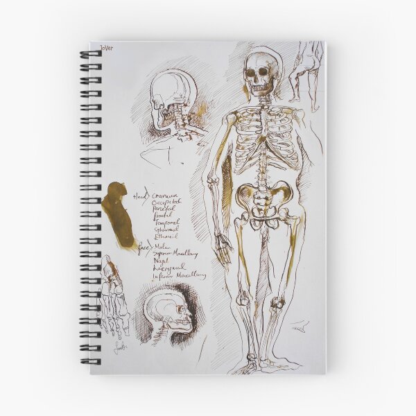 Item preview, anatomical study #1 designed and sold by Loui  Jover.