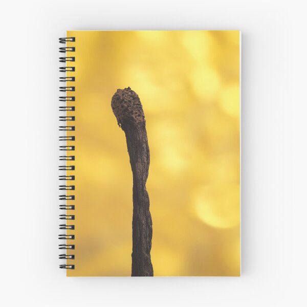 Item preview, Burned designed and sold by Richard G Witham.