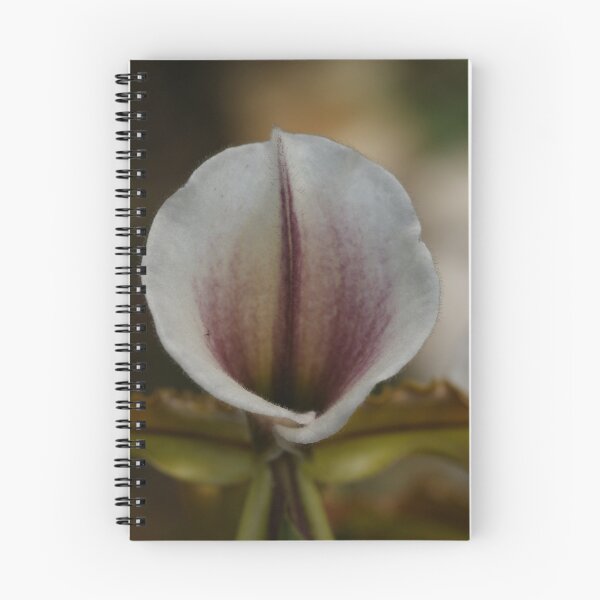Item preview, Unfolding designed and sold by Lindie Allen.