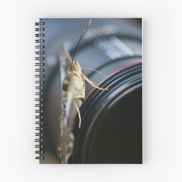 Item preview, On the lens designed and sold by Lindie Allen.